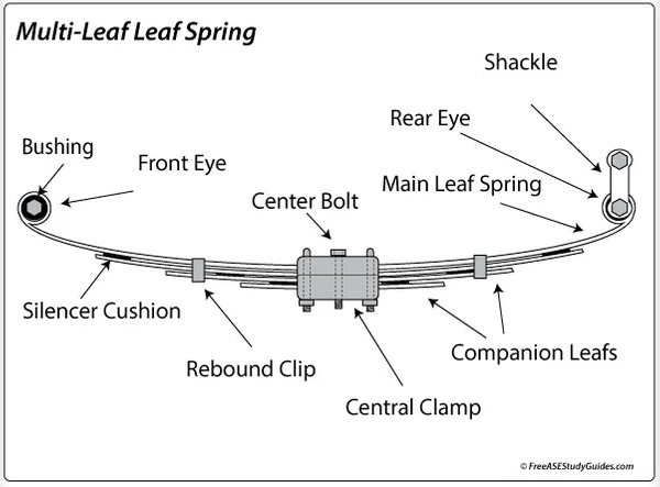 Leaf suspension diagram